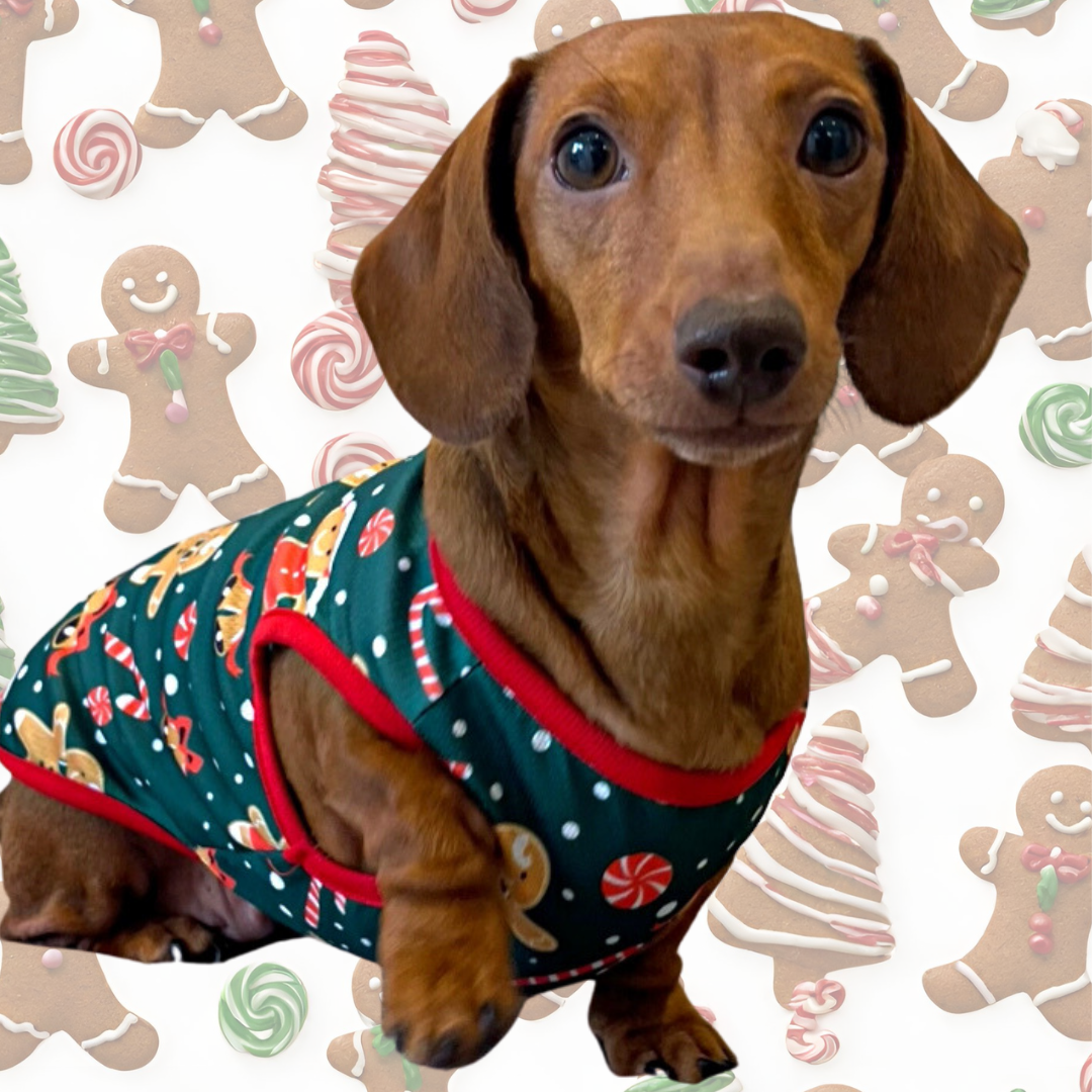 Sausage Dog Box Christmas Gingerbread Tee