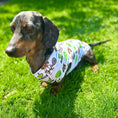 Load image into Gallery viewer, I LOVE BALLS DoxieCool Dachshund Cooling Tee Vest +30 Protection

