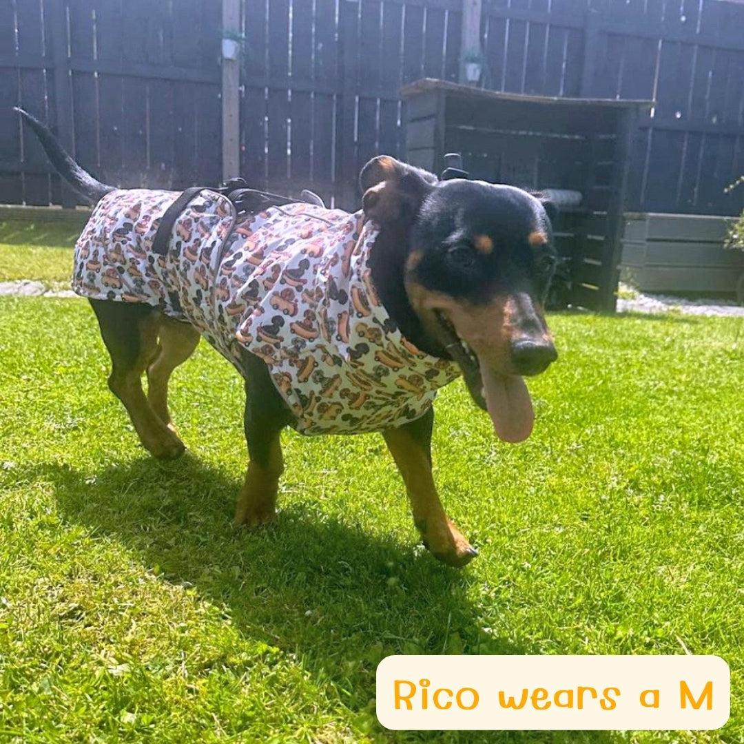 Weiner On Wheels Polartec Waterproof Dachshund Coat - Sausage Dog Box