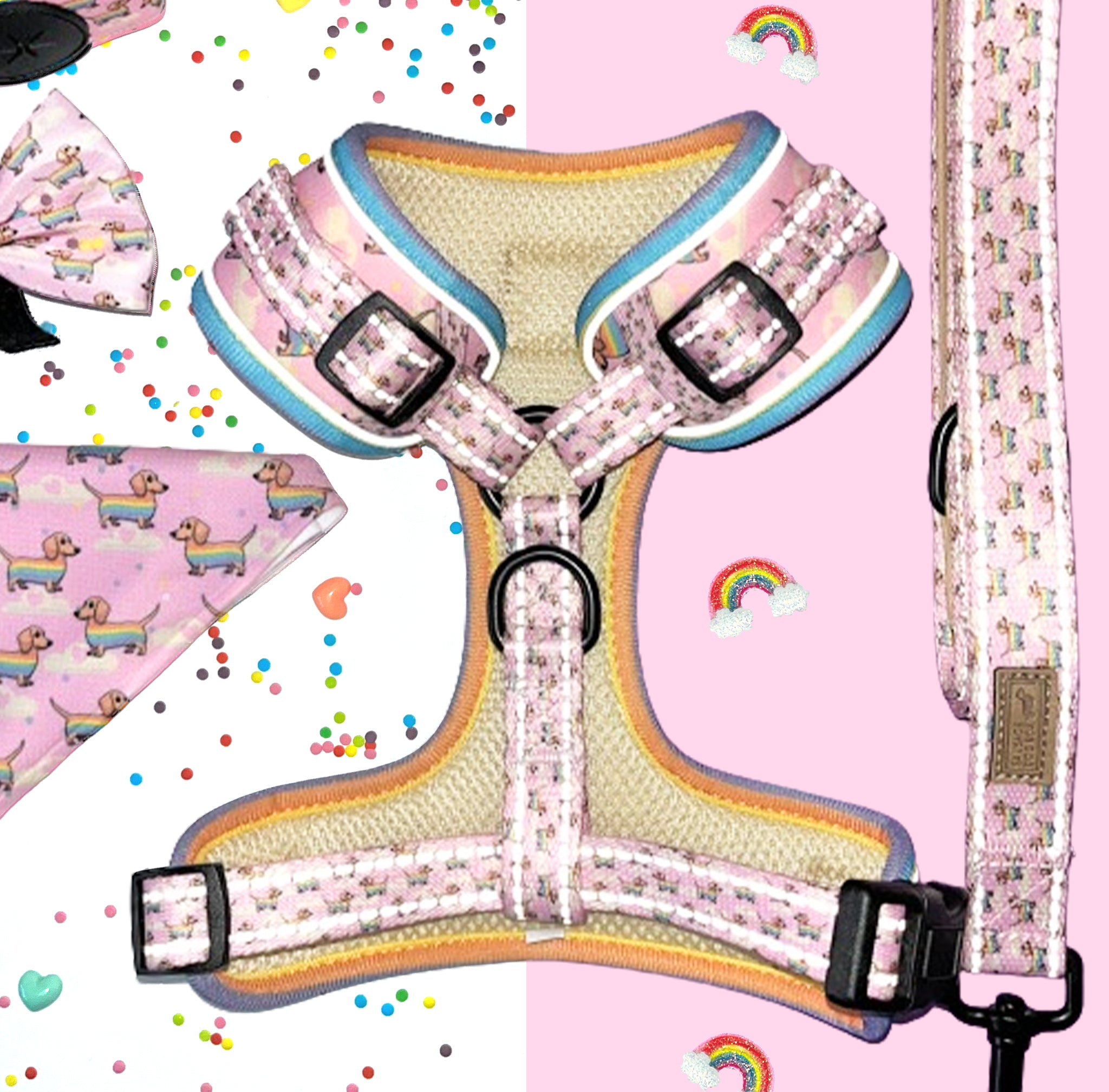 Anti-Rub Harness Designed For Dachshunds - Chasing Rainbows