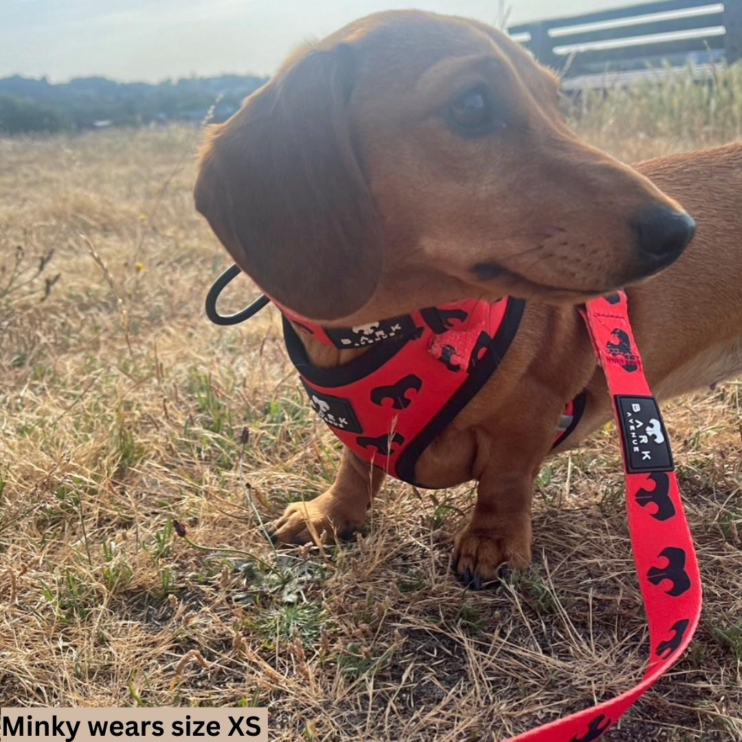 BARK AVENUE Adjustable Harness - 3 colours