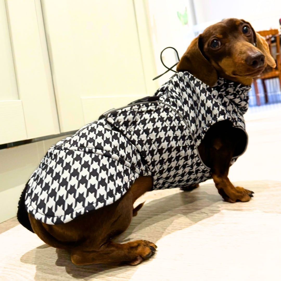 Sausage Dog Box Perfect Fit Dachshund Coat - Houndstooth