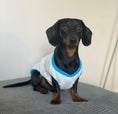 Load image into Gallery viewer, Blue Chirp Birdy - Sausage Dog Box Dachshund PJ's/Jumper
