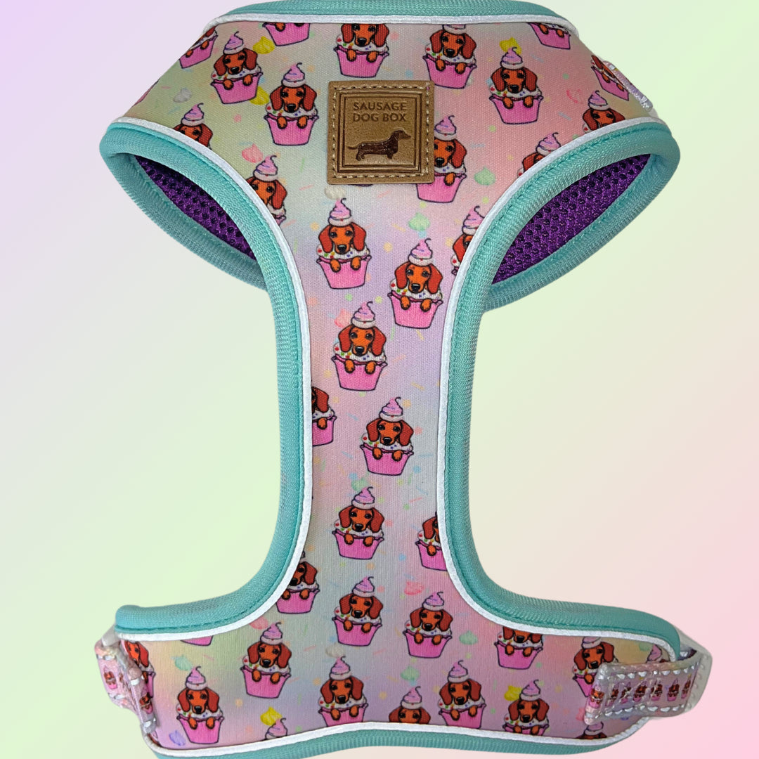 A Dach Of Sweetness Anti-Rub Dachshund Harness - Sausage Dog Box