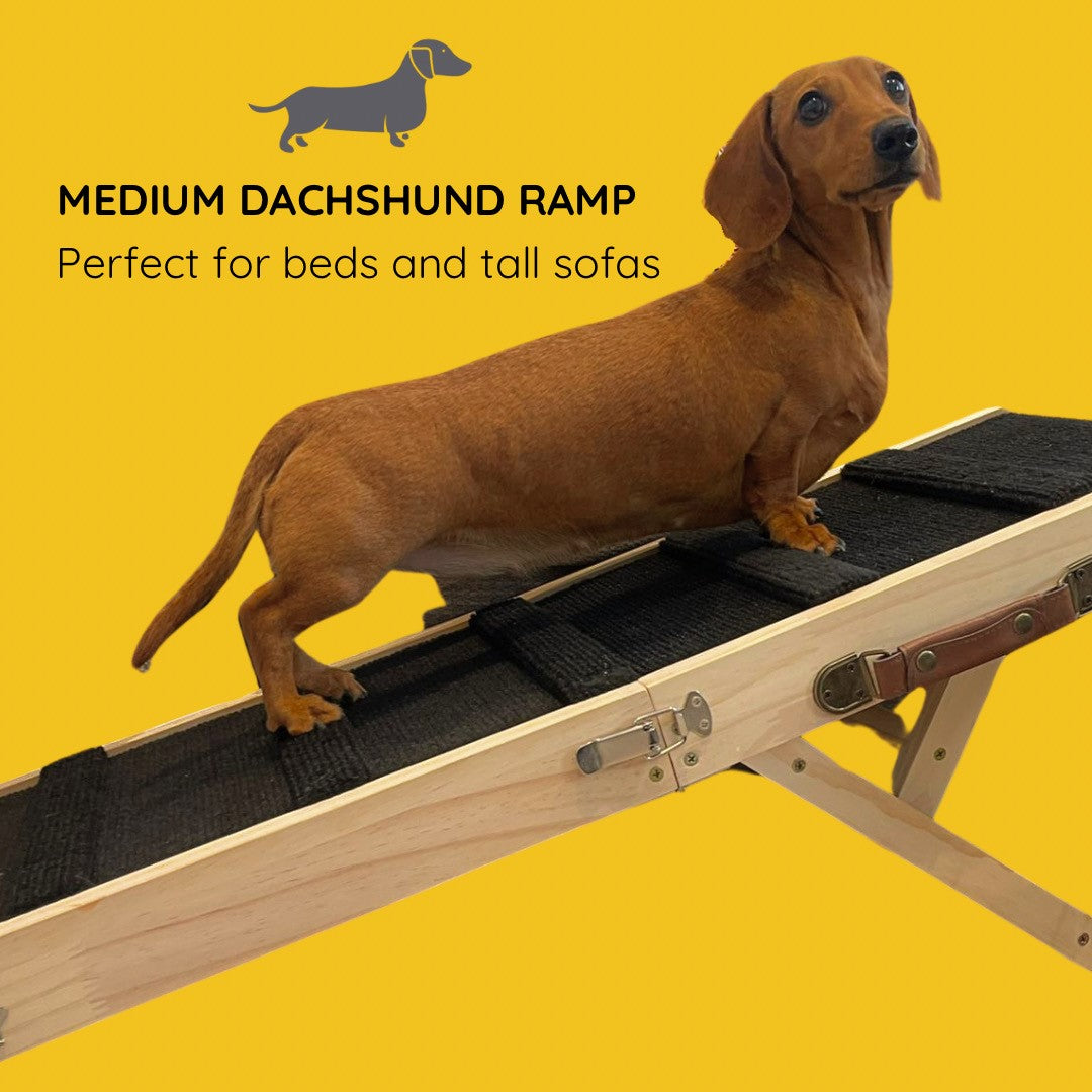 Sausage Dog Box Dachshund Ramp - High Sofa or Bed Wooden Daxie Ramp