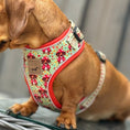 Load image into Gallery viewer, Shroom Dog Anti-Rub Sausage Dog Harness
