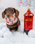 Load image into Gallery viewer, Frosty Sausages  Dachshund Christmas Dog Snood Scarf
