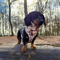 Load image into Gallery viewer, Honey Bear DoxieLite Sausage Dog Anti-Rub Harness

