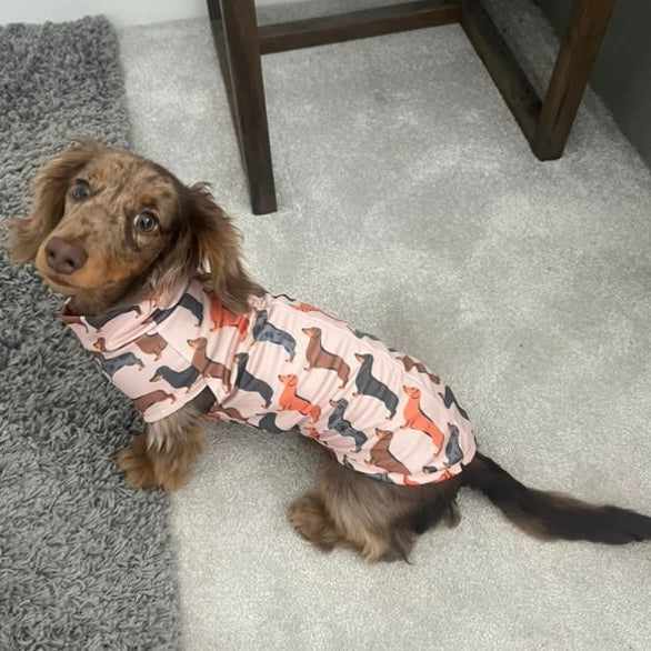 Beige Sausage Dog DoxieCool Dachshund Cooling Tee +30 Sun Protection Dog Vest