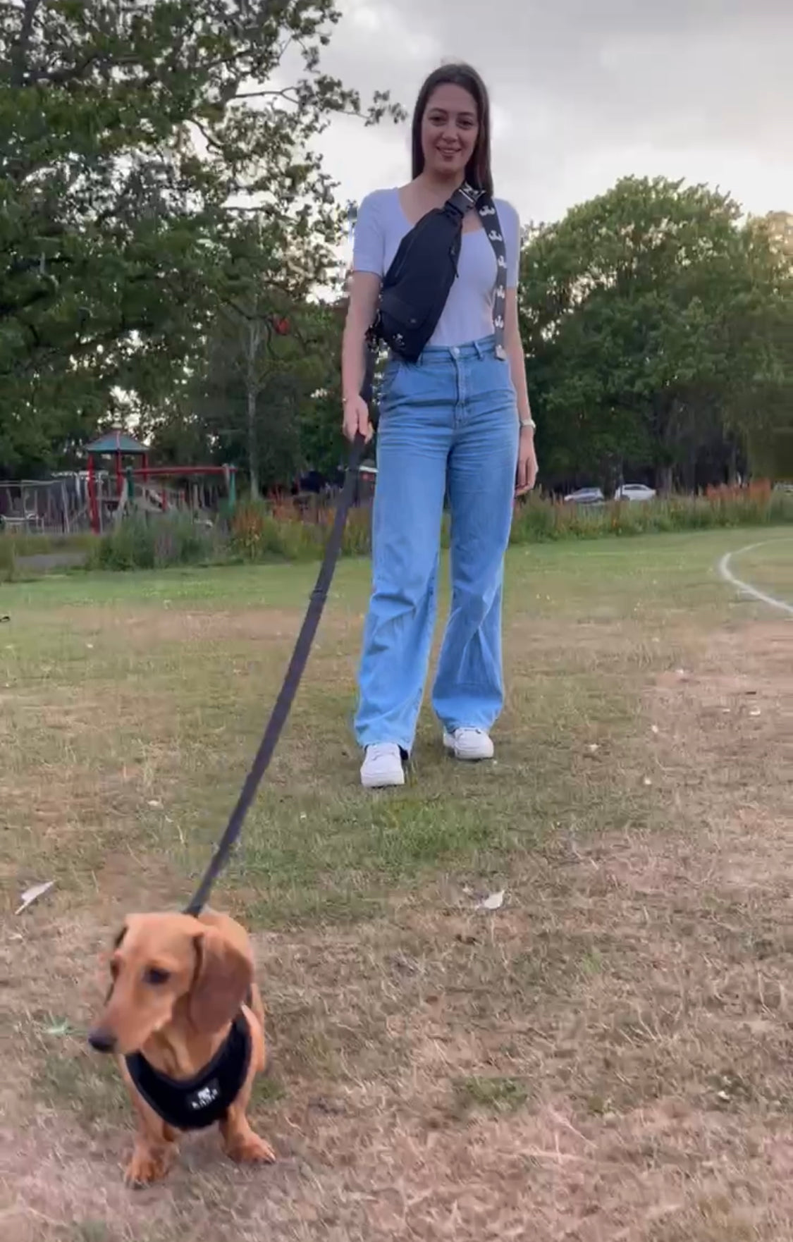 BARK AVENUE Hands-free Dog Walking Bag