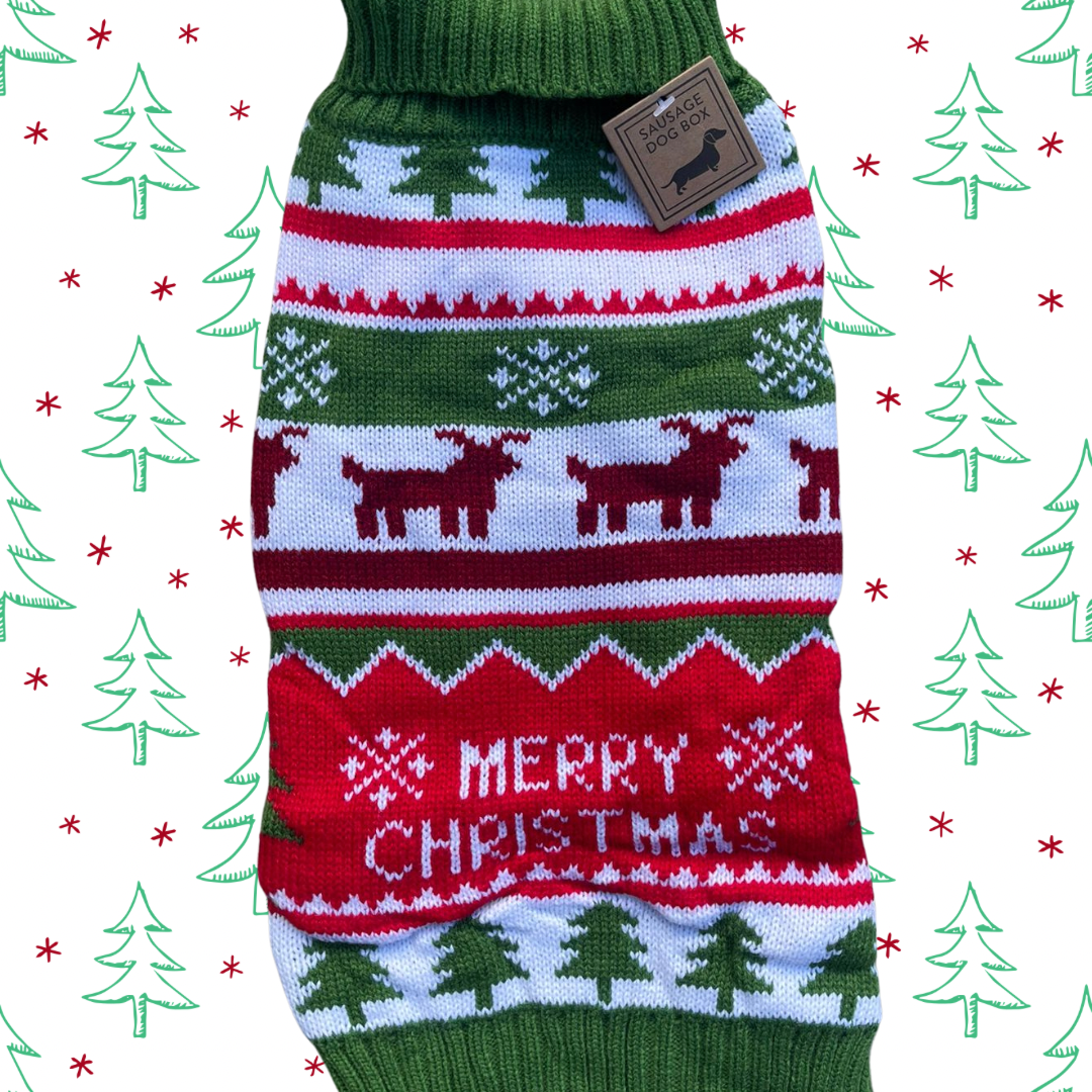 Sausage Dog Box Merry Christmas Dachshund Jumper