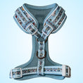 Load image into Gallery viewer, Dachshund Wonderland Anti-Rub Sausage Dog Harness
