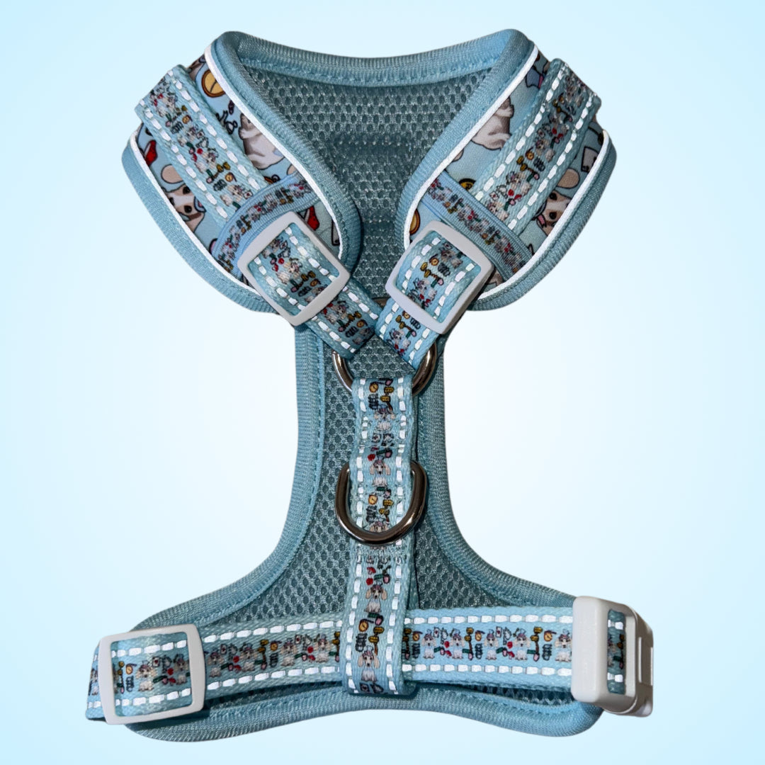 Dachshund Wonderland Anti-Rub Sausage Dog Harness