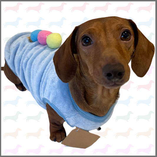 Blue Ice Cream Sundae - Sausage Dog Box Dachshund PJ's/Jumper