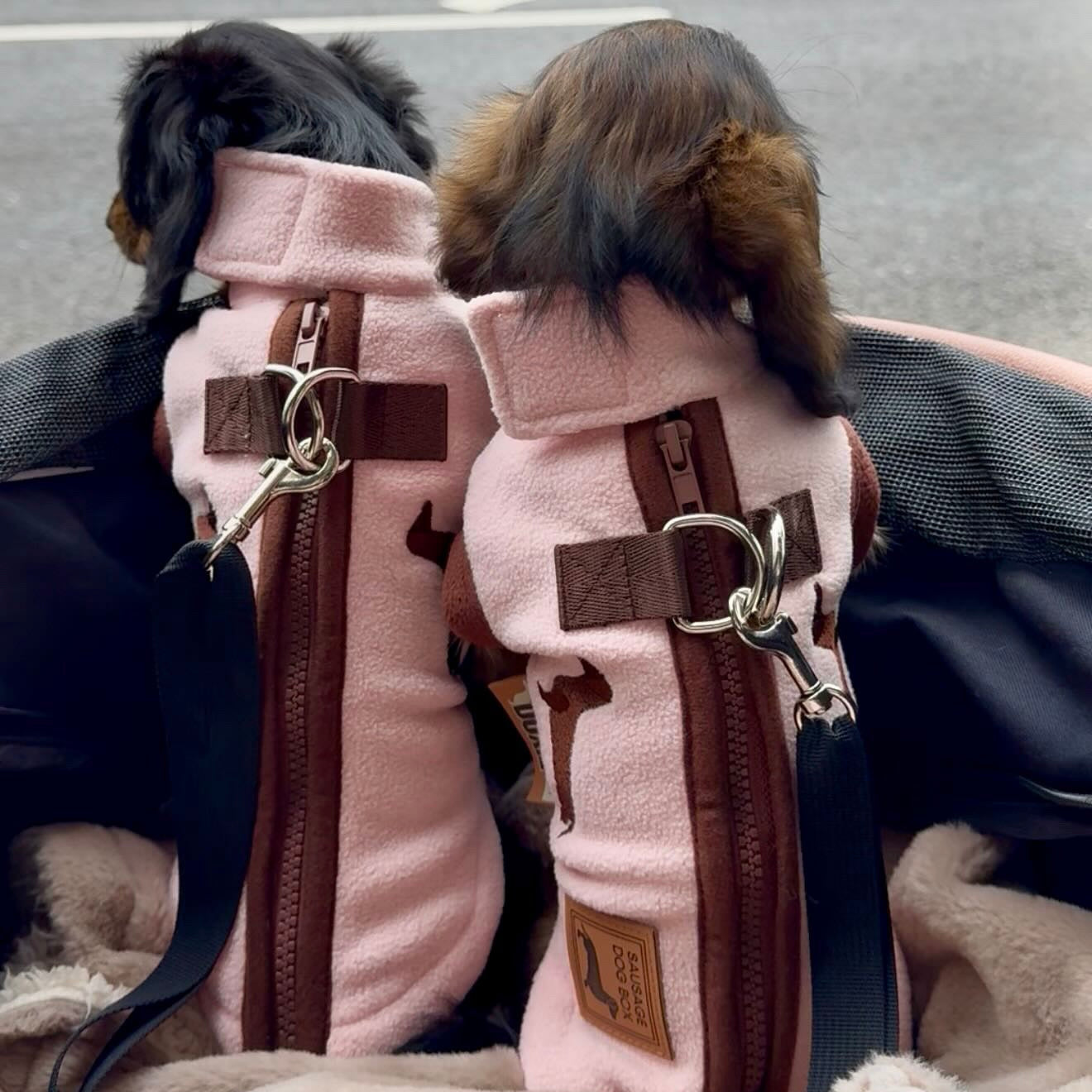 Strawberry Truffle DoxieDri Sausage Dog Harness Jumper