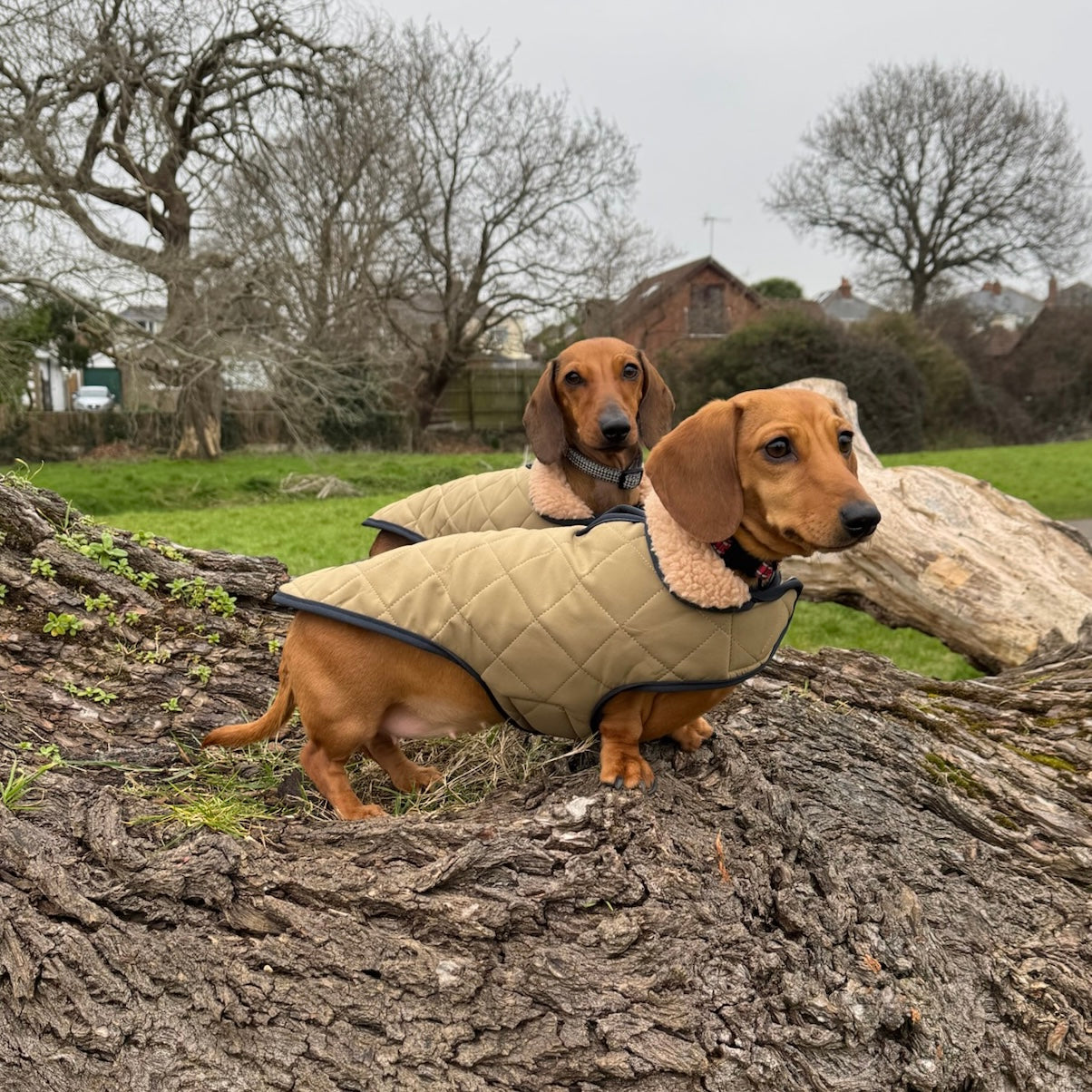 Evergreen Country Plaid Sherpa Lined Dachshund Dog Parker Jacket For Sausage Dog