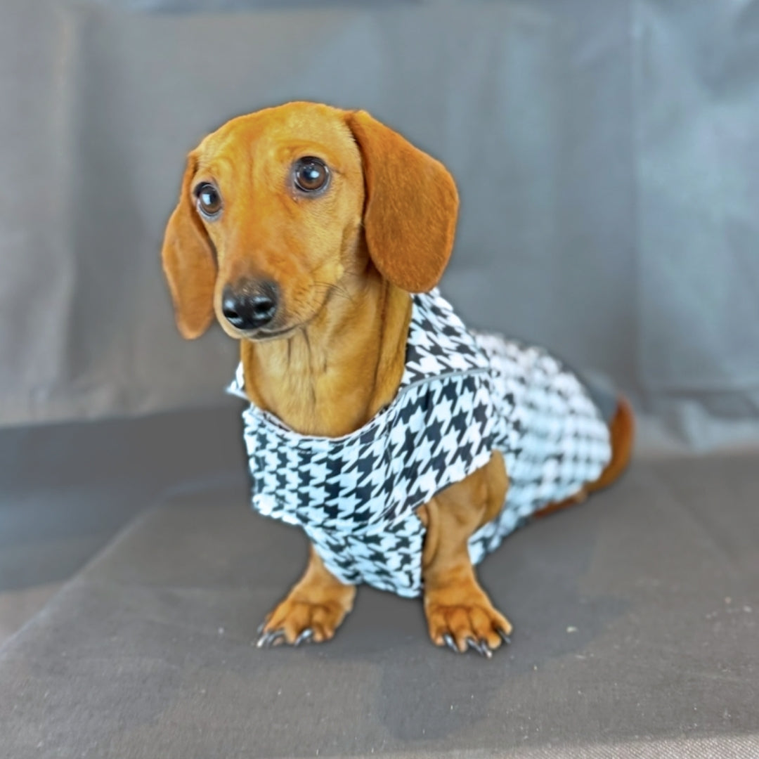 Houndstooth 'Dach-A-Mac' Dachshund Rain Mac In Bag Sausage Dog Box Folda