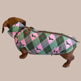Load image into Gallery viewer, Pink Rosewood Argyle Fleece Dachshund Dog Jumper
