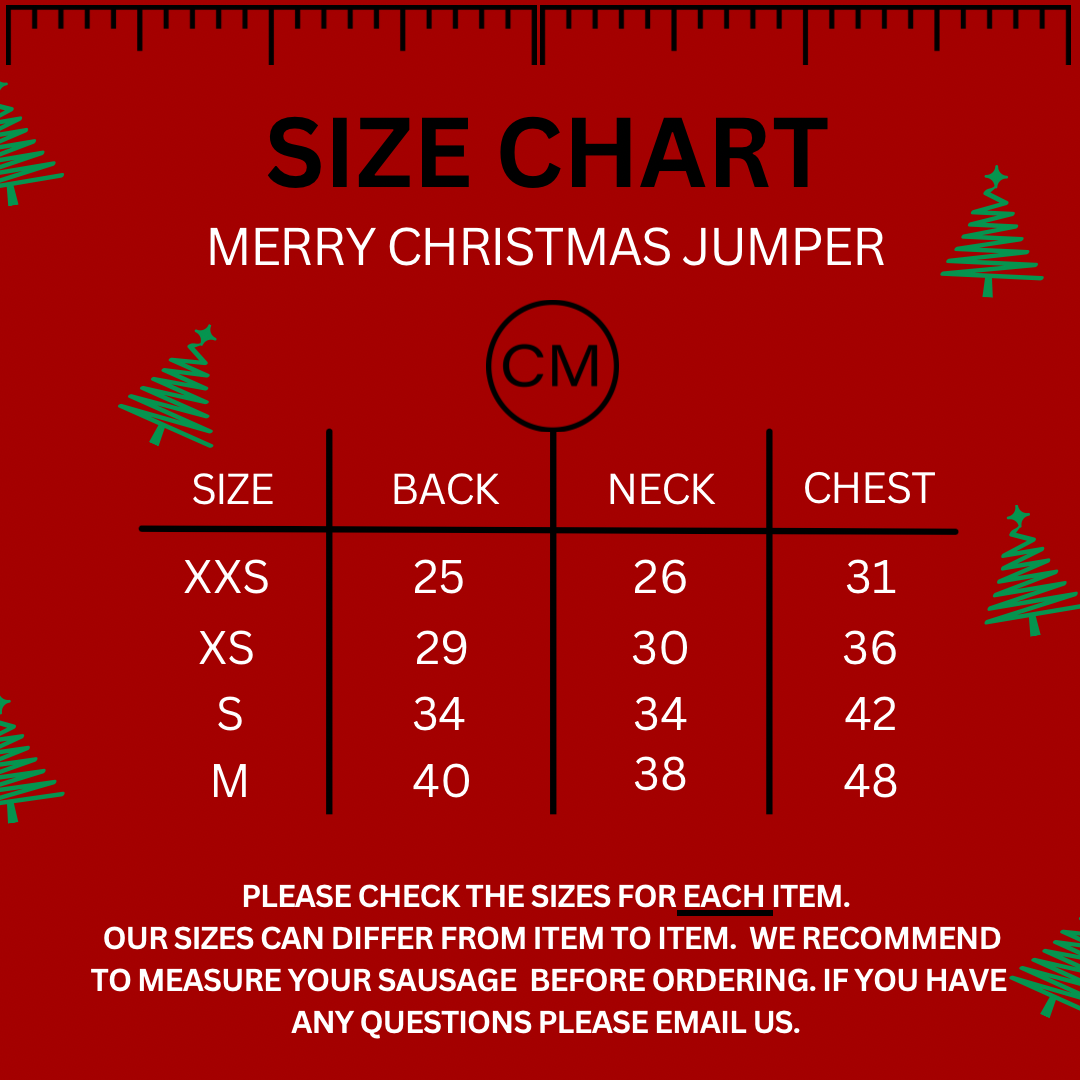 Sausage Dog Box Merry Christmas Dachshund Jumper