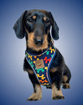 Load image into Gallery viewer, Navy Balloon Dog Dachshund Anti-Rub Harness
