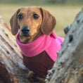 Load image into Gallery viewer, Coco Flamingo Waterproof Dachshund Harness Fleece | DoxieDri Step-In Jumper
