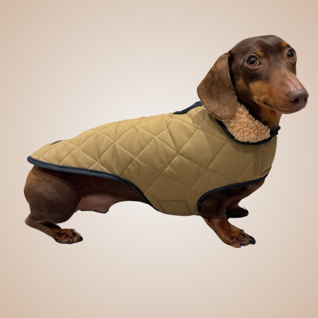 Evergreen Country Plaid Sherpa Lined Dachshund Dog Parker Jacket For Sausage Dog