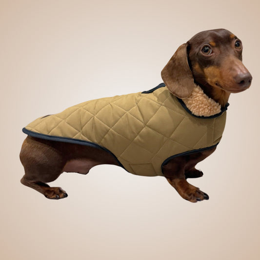 Evergreen Country Plaid Sherpa Lined Dachshund Dog Parker Jacket For Sausage Dog