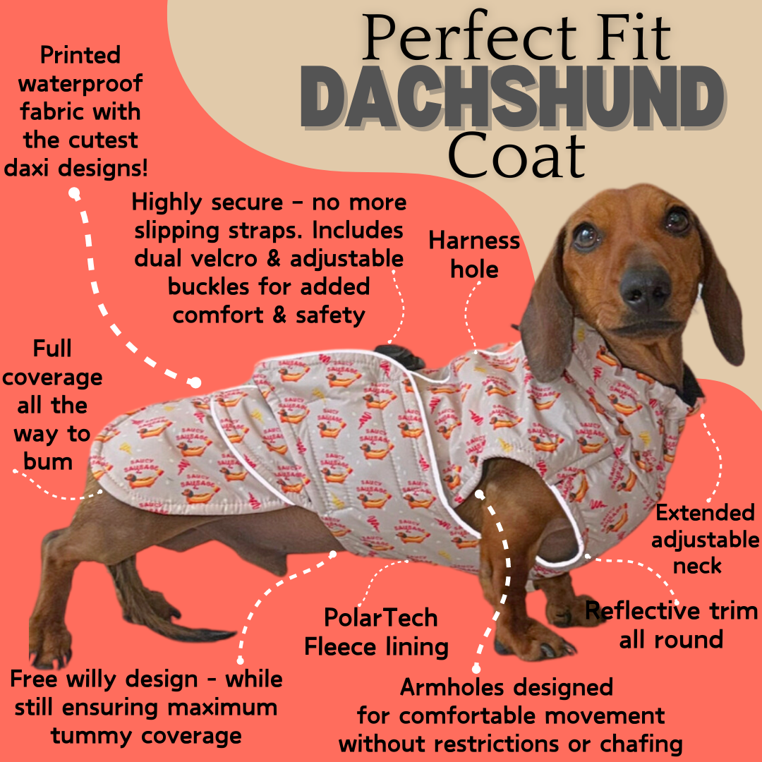 Warm Waterproof Dachshund Coat - Saucy Sausage Raincoat In Hot Dog Design