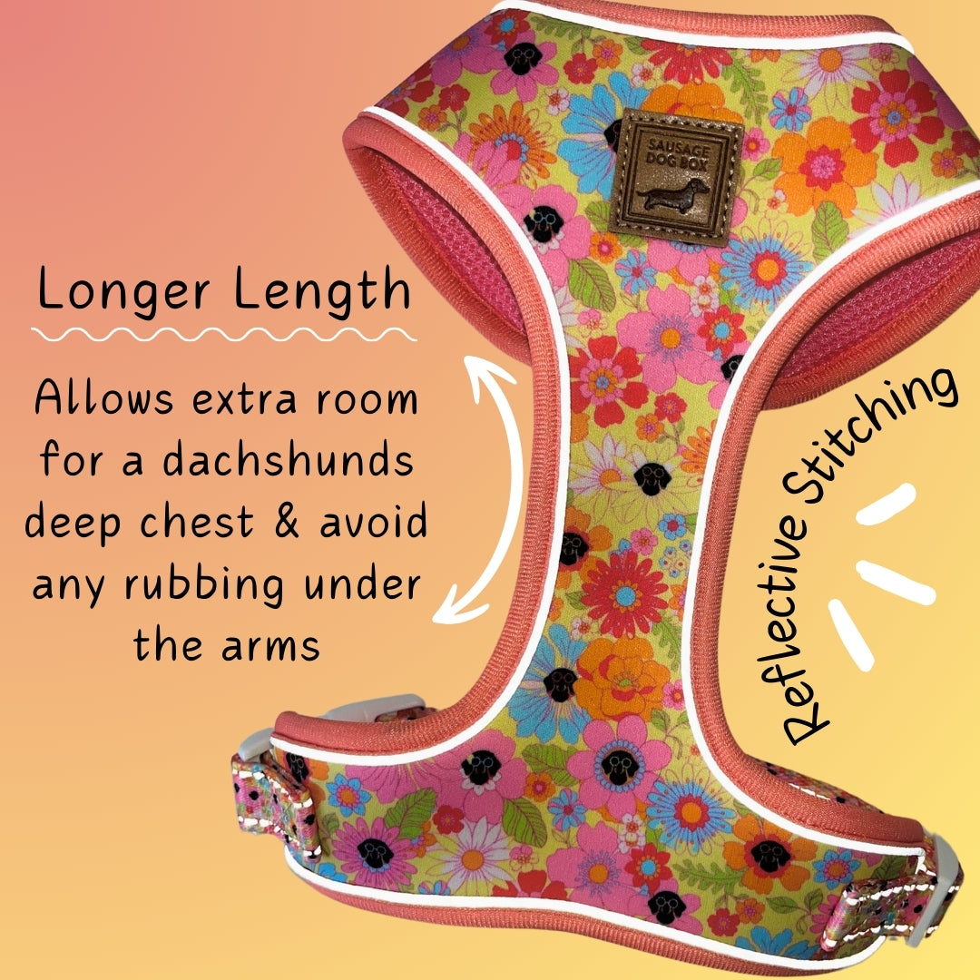 It's All Groovy Anti-Rub Dachshund Harness