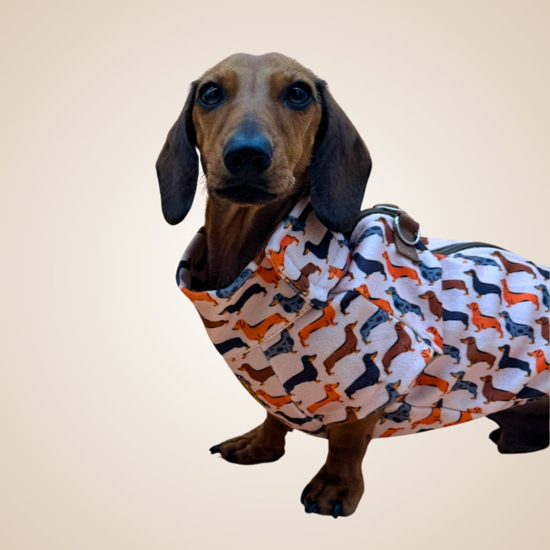 Beige Sophisticated Sausage Long Dog Zipper Dachshund Fleece Jumper / Sweater