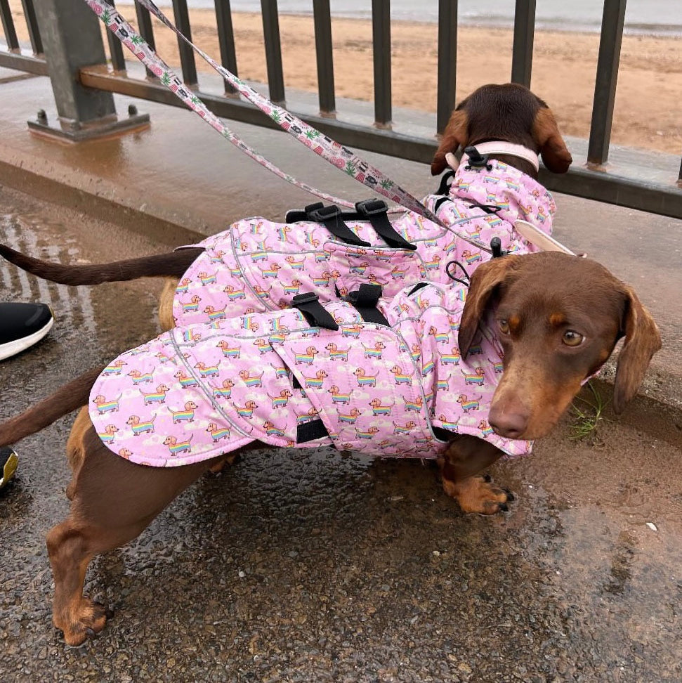 Chasing Rainbows Pink Polartec Fleece Waterproof Dachshund Coat Sausage Dog