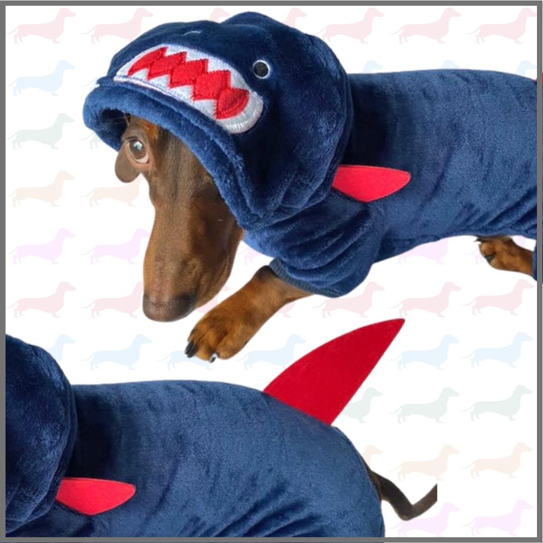 Sausage Dog Box Dachshund Shark Outfit