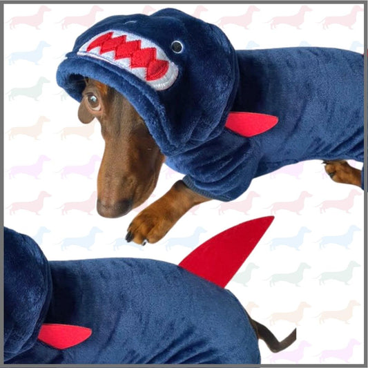 Sausage Dog Box Dachshund Shark Outfit