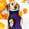 Load image into Gallery viewer, Spiced Twilight Waterproof Dachshund Harness Fleece | Sausage Dog Box DoxieDri
