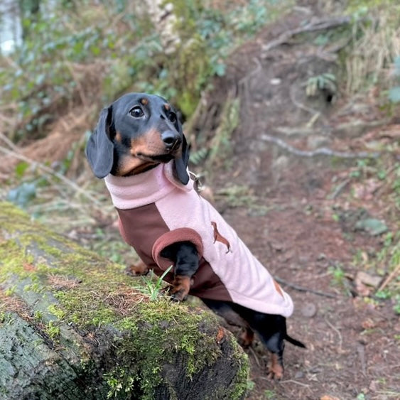 Strawberry Truffle DoxieDri Sausage Dog Harness Jumper