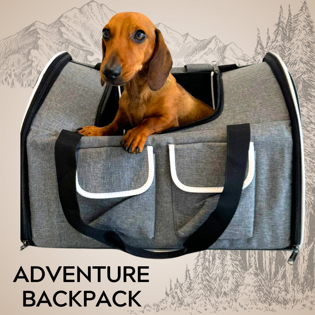 Sausage Dog Box Adventure Dachshund Backpack Carrier Airline Approved Holdall