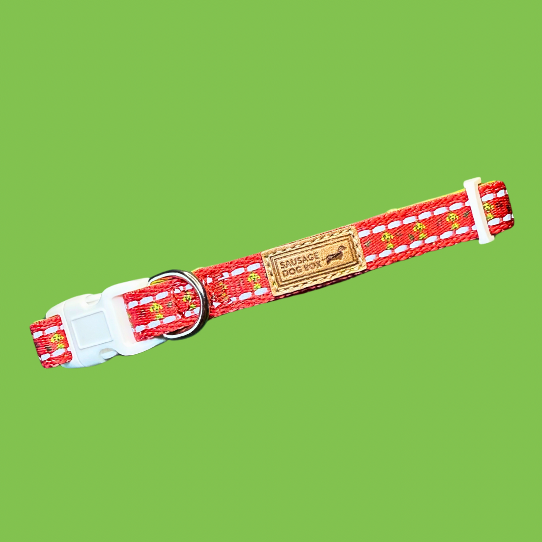 ‘Meanie Weenie’ Red Adjustable Dachshund Christmas Collar - Sausage Dog Box