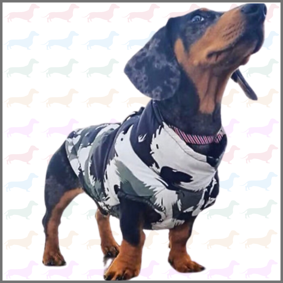 CLEARANCE - Sausage Dog Box Waterproof Step In Puffer Coat - Khaki Print
