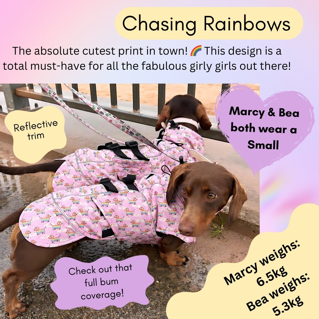 Chasing Rainbows Pink Polartec Fleece Waterproof Dachshund Coat Sausage Dog