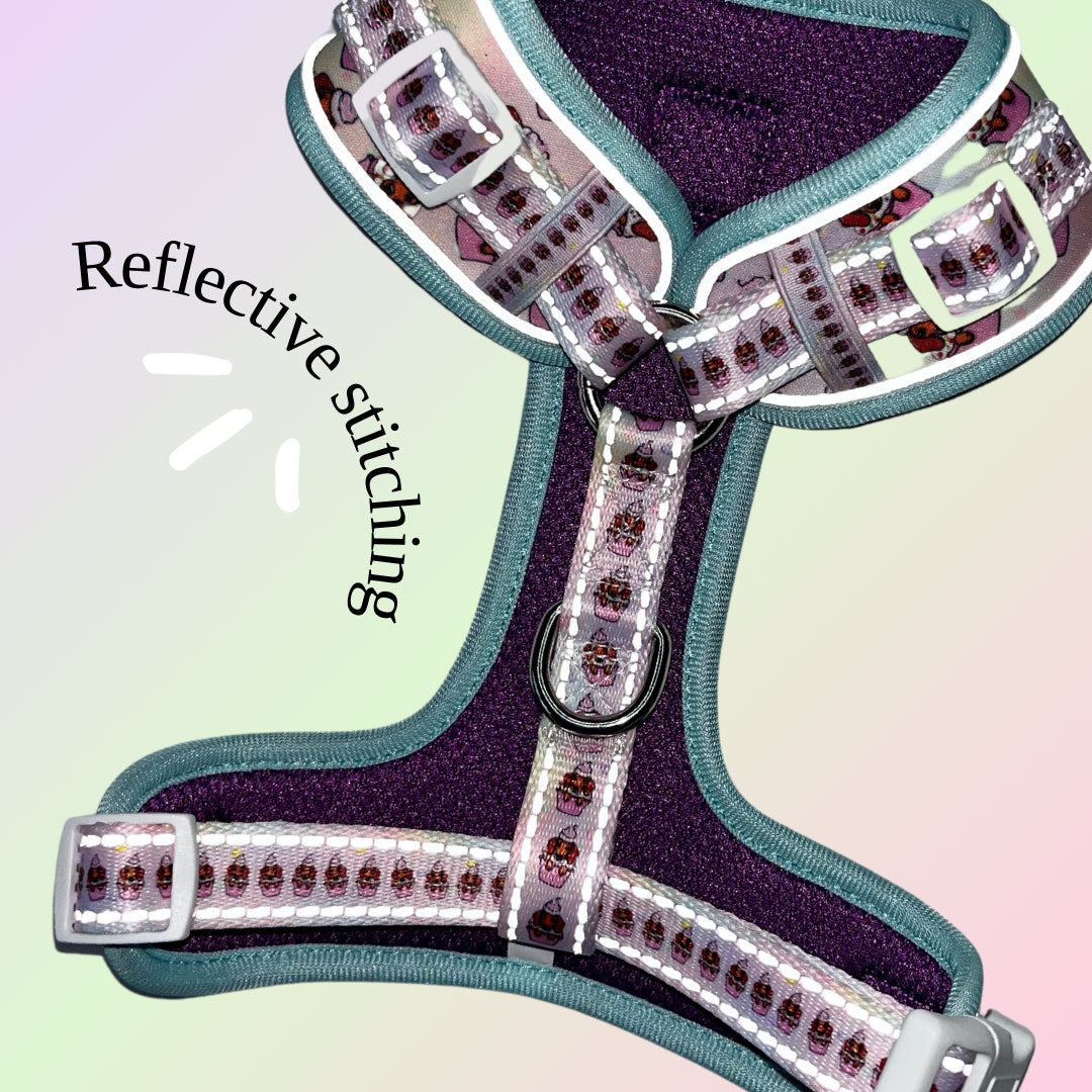 A Dach Of Sweetness Anti-Rub Dachshund Harness - Sausage Dog Box