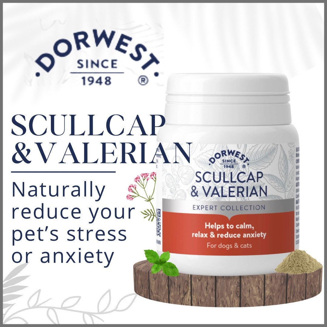 Dorwest Scullcap & Valerian Tablets For Anxious Dachshund’s