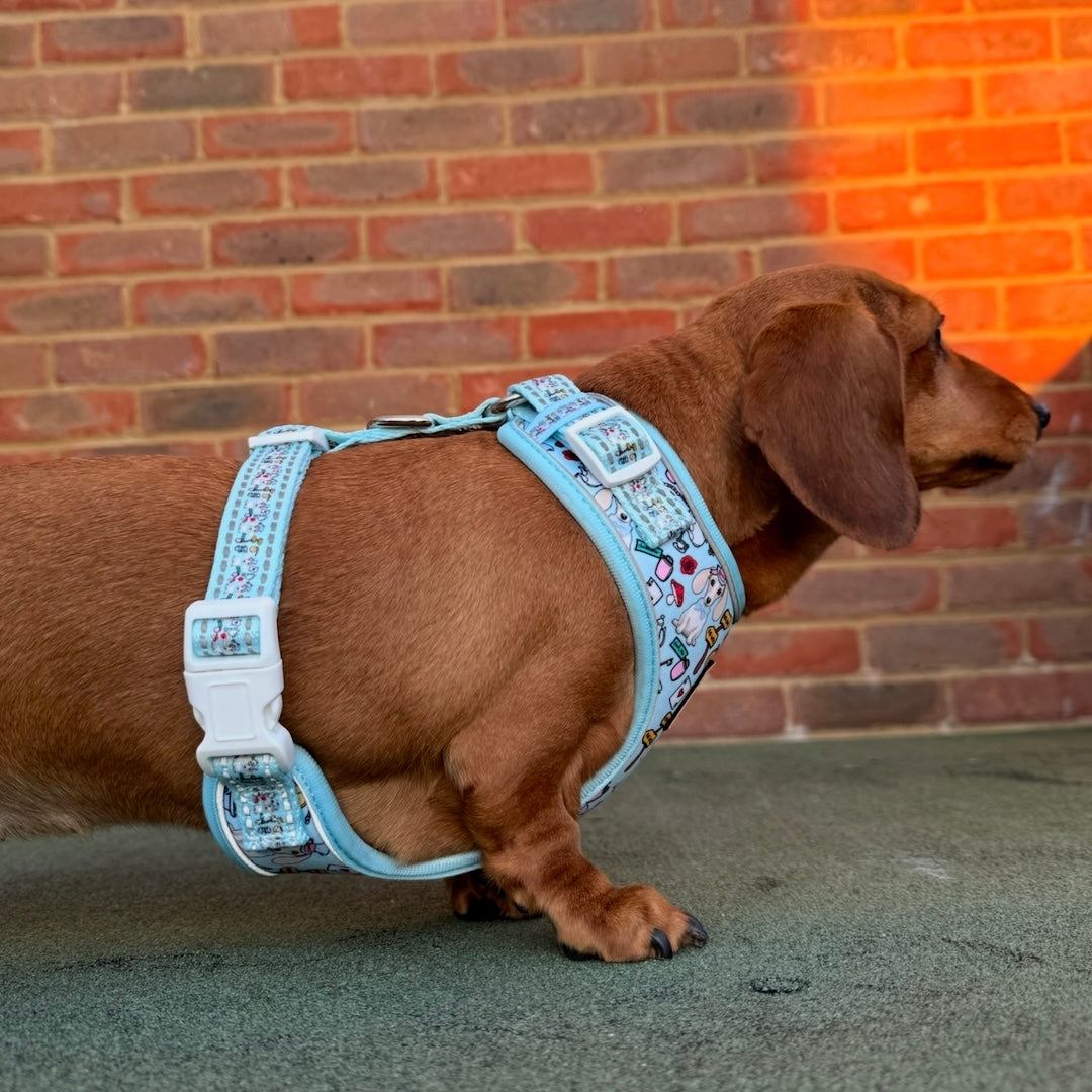 Dachshund Wonderland Anti-Rub Sausage Dog Harness
