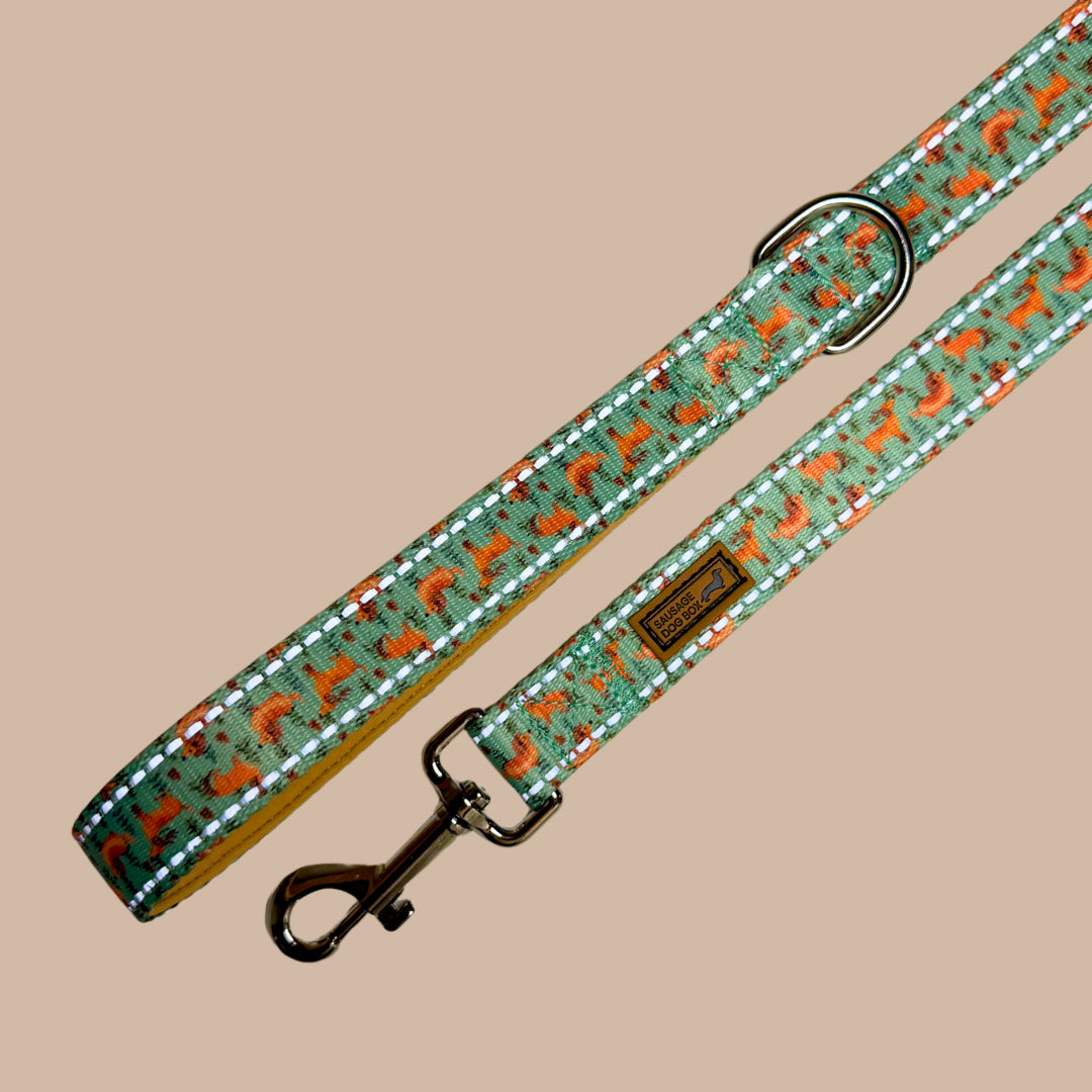 Woodland Weens Dachshund Lead