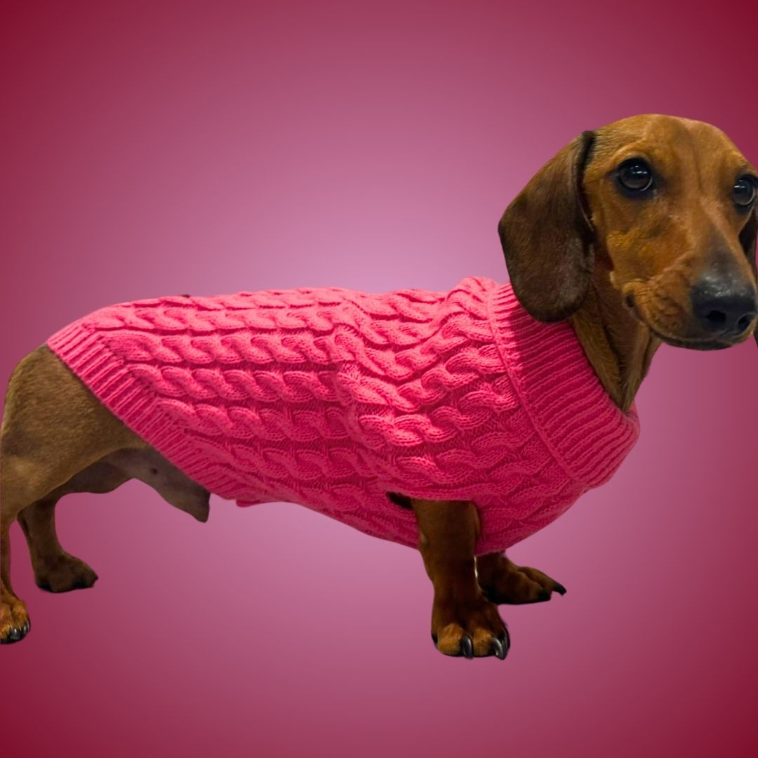 Raspberry Ripple Luxury Cable Knit Dachshund Jumper - Sausage Dog Box