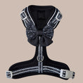 Load image into Gallery viewer, Twilight Doxie Sausage Dog Anti-Rub Harness
