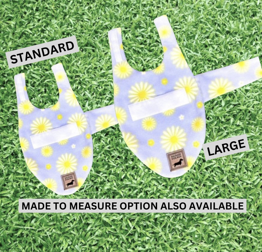 Sausage Dog Box Dachshund Designer Daisy Jacket Coat