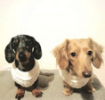 Load image into Gallery viewer, Sausage Dog Box Cosy White Cable Knit Dachshund Jumper
