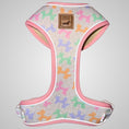 Load image into Gallery viewer, Daisy Balloon Dog Dachshund Anti-Rub Harness
