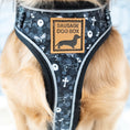 Load image into Gallery viewer, Twilight Doxie Sausage Dog Anti-Rub Harness
