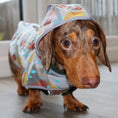 Load image into Gallery viewer, Soggy Sausage Dachshund Waterproof Rain Mac/Coat With Hood
